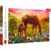 Puzzle cu 500 de piese - Cai pe pajiște - Trefl