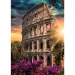 Puzzle premium de 1000 de piese Roma, Colosseum - Trefl
