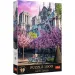 Puzzle premium de 1000 piese cu Notre Dame din Paris - Trefl
