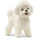 Schleich: Figurină câine Bichon Frise (13963)