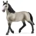 Schleich: Figurină de iapă de rasă Cheval de Selle Français (13955)