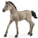 Schleich: Figurina mânz Criollo Definitivo (13949)