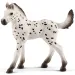 Schleich: Figurina mânz Knabstrupper (13890)