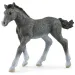 Schleich: Figurina mânz Trakehner (13944)