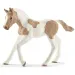 Schleich: Figurina mânz cal Paint (13886)