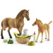 Schleich: Horse Club - Set de joacă pentru îngrijirea animalelor mici ale lui Sarah (42432)
