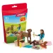 Schleich: Set de joacă Picnic cu Liza și cățelușul ei (42746)