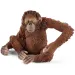 Schleich: Wild Life - Set de figurine cu animale din Asia pentru începători, 4 bucăți (42736)