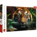 Tigru în sălbăticie puzzle de 1000 piese HQ - Trefl