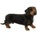 Apollo teckelul (dachshund) cu păr scurt figurină de câine - Bullyland