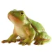 Broască de copac verde figurină joacă - Bullyland