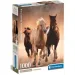 Cai sălbatici HQC puzzle de 1000 de piese cu poster - Clementoni