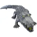 Crocodil plimbător cu lumină și sunet imaginea 3