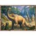 Dino interesanți 4 in 1 puzzle - Trefl