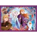 Frozen 2. 4 in 1 puzzle - Clementoni