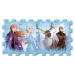 Frozen 2 burete puzzle - Trefl