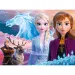 Frozen 2: curajul surorilor puzzle 30 bucăți - Trefl