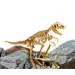 I'M Genius: Tyrannosaurus Rex dinozaur set de arheolog cu unelte