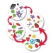 Dobble joc de societate imaginea 3