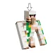 LEGO® Minecraft: Atacul puiului, în deșert (21592) imaginea 5