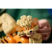 LEGO® Pokémon: Arcanine (72160) imaginea 10
