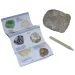 Minerals &amp; Fossils surpriză