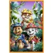 Patrula Câinilor Insula Dinozaurilor - 3 x 80 de piese puzzle - Trefl imaginea 3