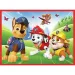 Paw Patrol 2 in 1 puzzle și joc de memorieee - Trefl