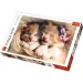 Pisici care dorm premium puzzle 500 bucăţi - Trefl