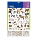 PlayBox: Stickere cu animale 300buc