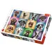Portret haios de câini 1000 bucăţi puzzle - Trefl