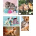 Prietenii animalelor 10 în 1 puzzle super color - Clementoni imaginea 3