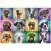 Puzzle cu 1000 de piese Câine Amuzant - Trefl imaginea 2