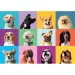 Puzzle veselii cu fețe de câini 300 de piese - Clementoni imaginea 2