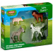 Schleich: Farm World Pui de animale de fermă – set de 4 figurine (42740)