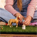Schleich: Horse Club Setul de îngrijire a calului Emily (42797)