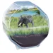 Science & Play: Mini elefant terrarium set de joacă - Clementoni imaginea 2