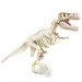 Science &amp; Play: T-Rex set arheologic fluorescent - Clementoni
