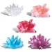 Set mini cristale de crescut