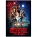 Stranger Things Sezonul 1 Puzzle de 1000 de piese cu poster - Clementoni imaginea 2